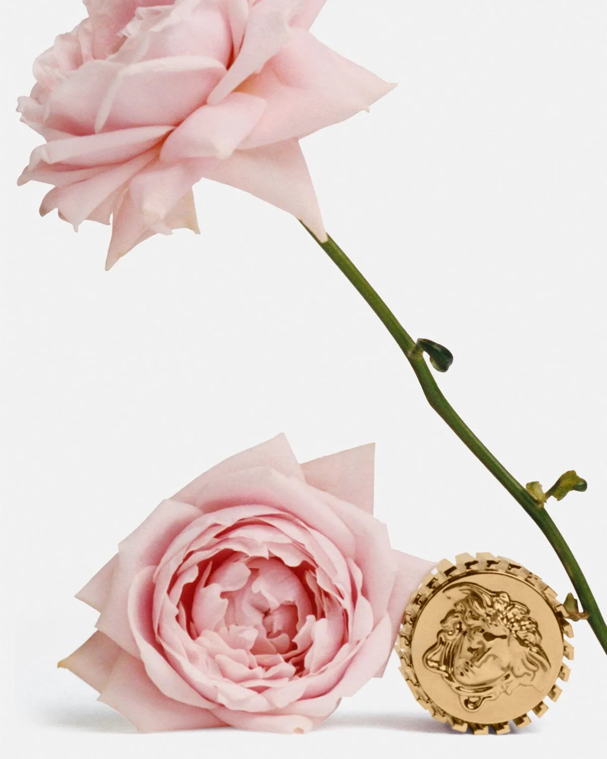 Éclat De Rose EDP 100 ml
