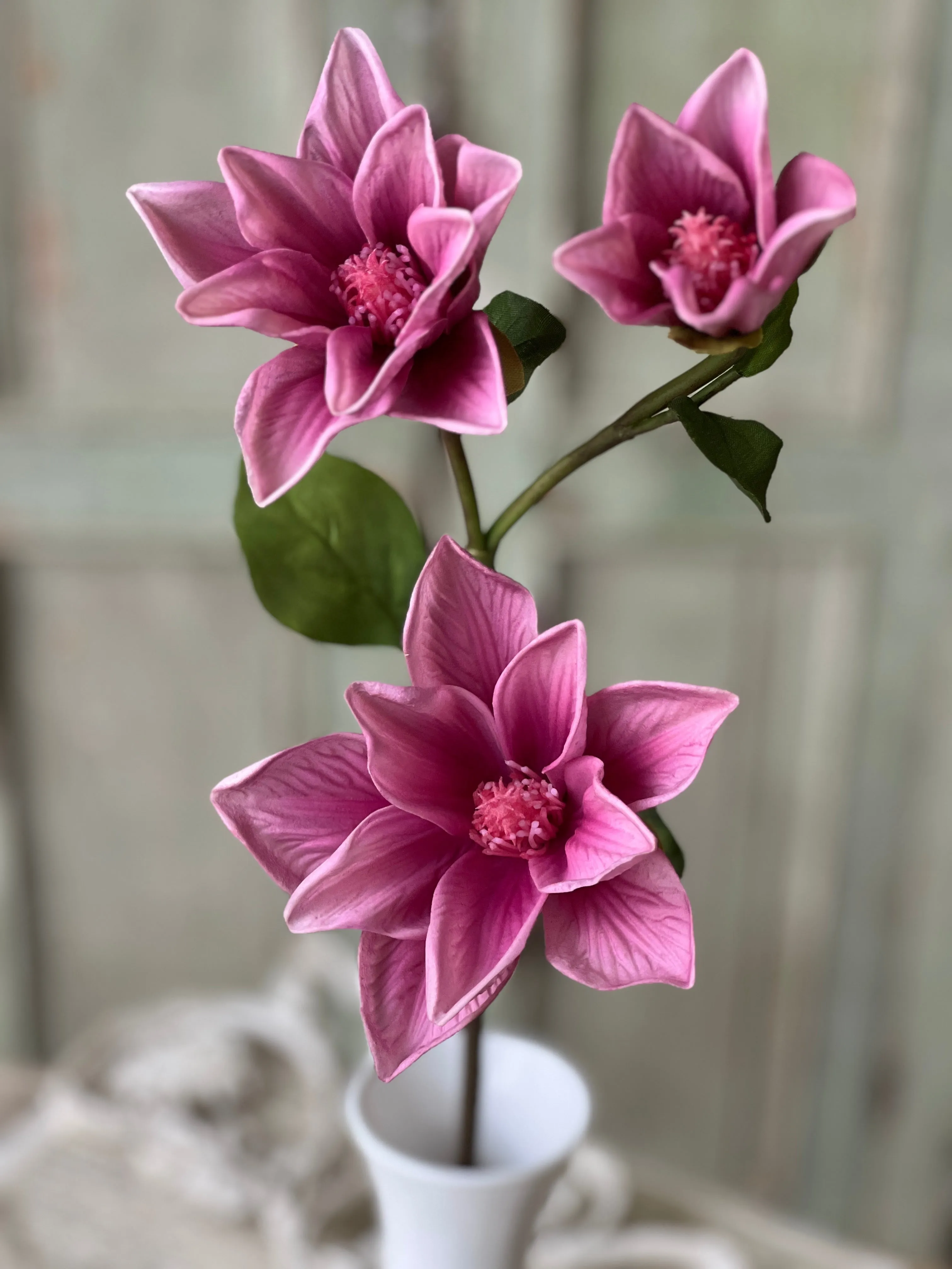 Devotion Magnolia | 26" | Priss | NOT CURRENTLY IN STOCK-New For Spring 2025!
