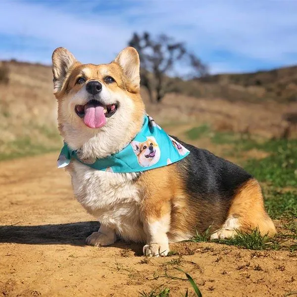 Original Pet Pop Art Bandana