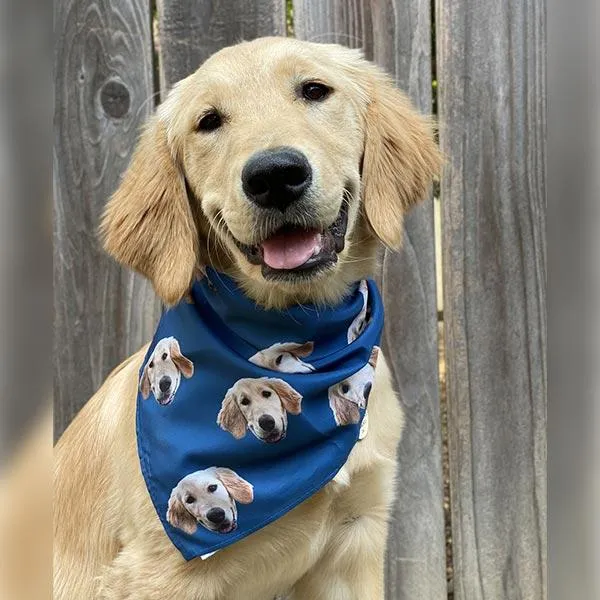 Original Pet Pop Art Bandana