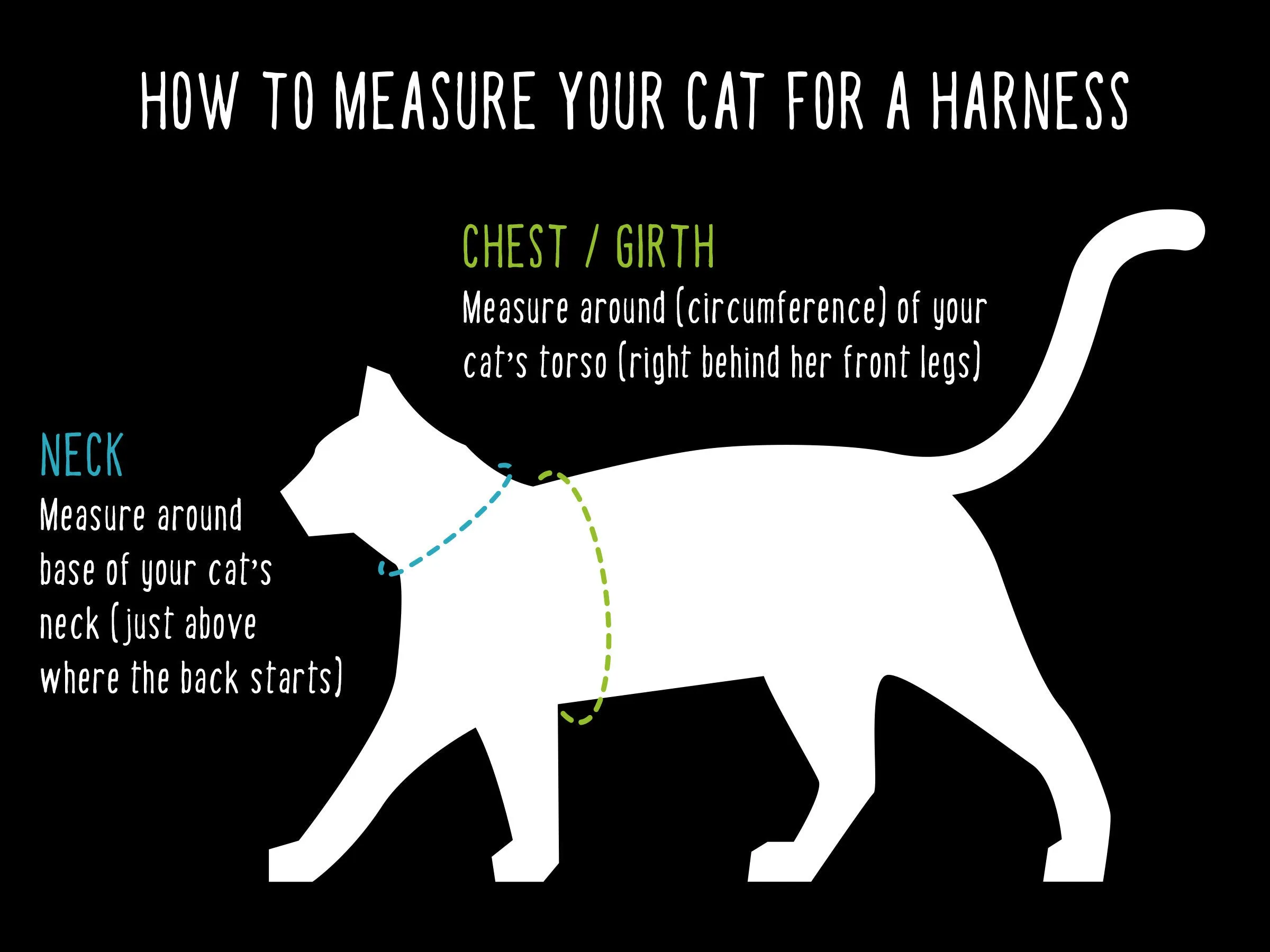 Tea-stained Just Hemp H-Style Cat Harness